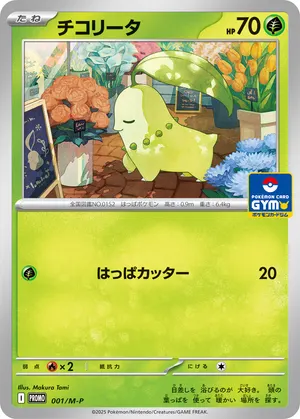 チコリータ
