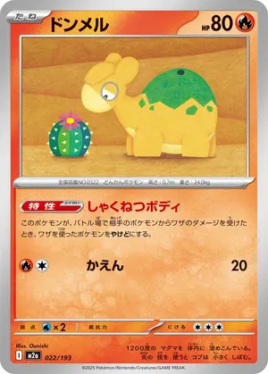 ドンメル