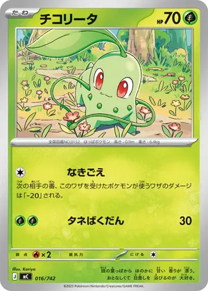 チコリータ