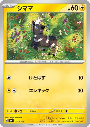 シママ