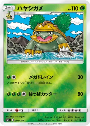 ハヤシガメ