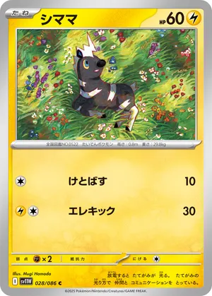 シママ